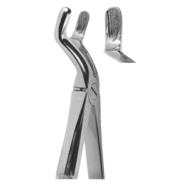 Premium Extracting Forceps (English Pattern) – High-Grade Stainless Steel for Precise Dental Extractions - Fig. 67 (Upper Thire Molars)