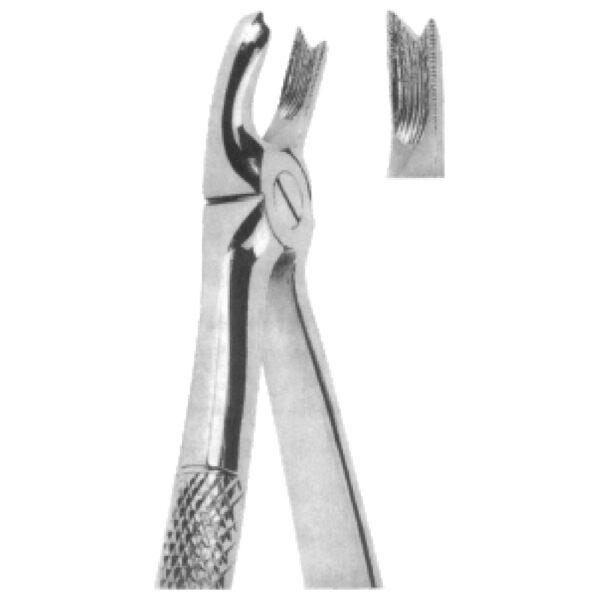 Premium Extracting Forceps (English Pattern) – High-Grade Stainless Steel for Precise Dental Extractions - Fig. 65R (Upper Molars, Right)