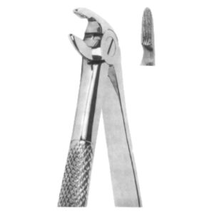 Premium Extracting Forceps (English Pattern) – High-Grade Stainless Steel for Precise Dental Extractions – Fig. 60 (Lower Roots)