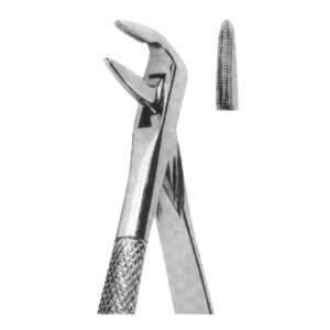 Premium Extracting Forceps (English Pattern) – High-Grade Stainless Steel for Precise Dental Extractions – Fig. 59L (Lower Incisor Roots)