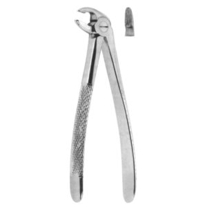 Premium Extracting Forceps (English Pattern) – High-Grade Stainless Steel for Precise Dental Extractions – Fig. 59 (Lower Roots)