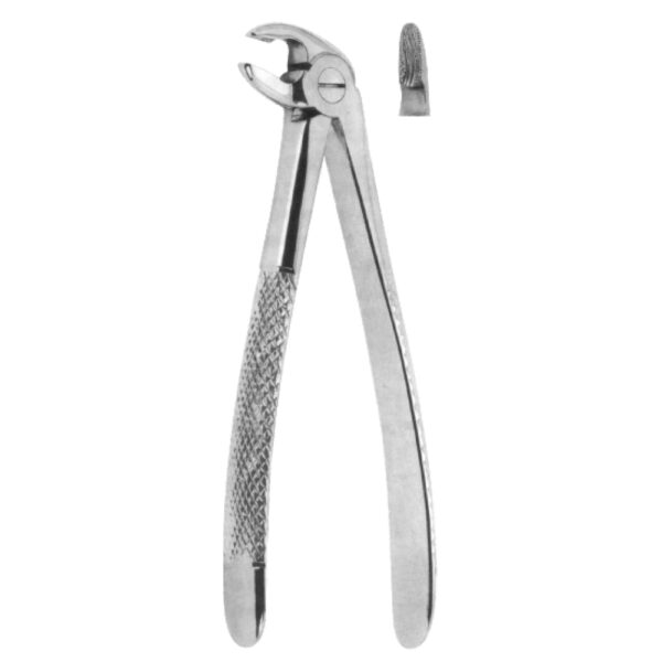 Premium Extracting Forceps (English Pattern) – High-Grade Stainless Steel for Precise Dental Extractions - Fig. 59 (Lower Roots)