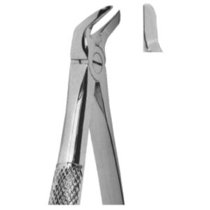 Premium Extracting Forceps (English Pattern) – High-Grade Stainless Steel for Precise Dental Extractions - Fig. 56 (For Separating Lower Molars)