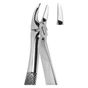 Premium Extracting Forceps (English Pattern) – High-Grade Stainless Steel for Precise Dental Extractions - Fig. 55 (For Separating Upper Molars)