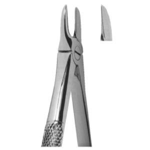 Premium Extracting Forceps (English Pattern) – High-Grade Stainless Steel for Precise Dental Extractions – Fig. 54 (For Separating Upper Molars)