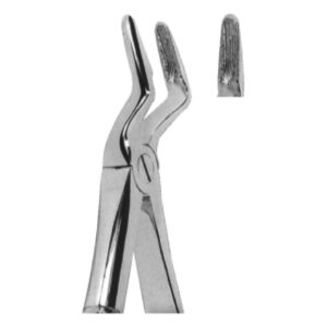 Premium Extracting Forceps (English Pattern) – High-Grade Stainless Steel for Precise Dental Extractions – Fig. 52 (Upper Roots and Canines)