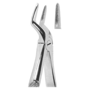 Premium Extracting Forceps (English Pattern) – High-Grade Stainless Steel for Precise Dental Extractions – Fig. 51A (Upper Roots)