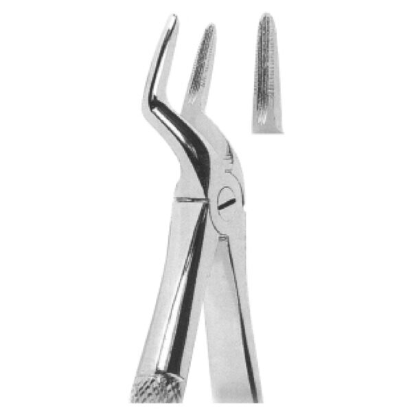 Premium Extracting Forceps (English Pattern) – High-Grade Stainless Steel for Precise Dental Extractions - Fig. 51A (Upper Roots)