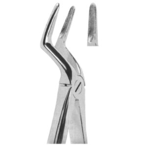 Premium Extracting Forceps (English Pattern) – High-Grade Stainless Steel for Precise Dental Extractions – Fig. 51L (Upper Roots)