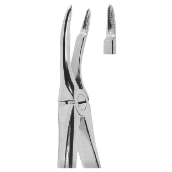 Premium Extracting Forceps (English Pattern) – High-Grade Stainless Steel for Precise Dental Extractions - Fig. 49 (Upper Roots)