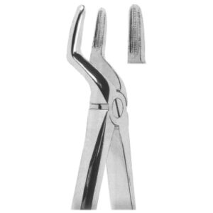Premium Extracting Forceps (English Pattern) – High-Grade Stainless Steel for Precise Dental Extractions – Fig. 51 (Upper Roots)