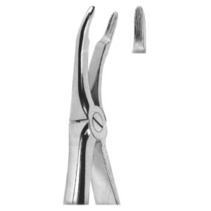 Premium Extracting Forceps (English Pattern) – High-Grade Stainless Steel for Precise Dental Extractions – Fig. 44 (Upper Roots)
