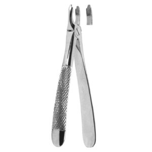 Premium Extracting Forceps (English Pattern) – High-Grade Stainless Steel for Precise Dental Extractions – Fig. 43A (Fractured or Decayed, Upper Teeth)