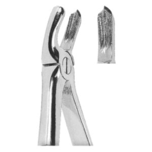 Premium Extracting Forceps (English Pattern) – High-Grade Stainless Steel for Precise Dental Extractions - Fig. 39 L (Upper Molars, Left)