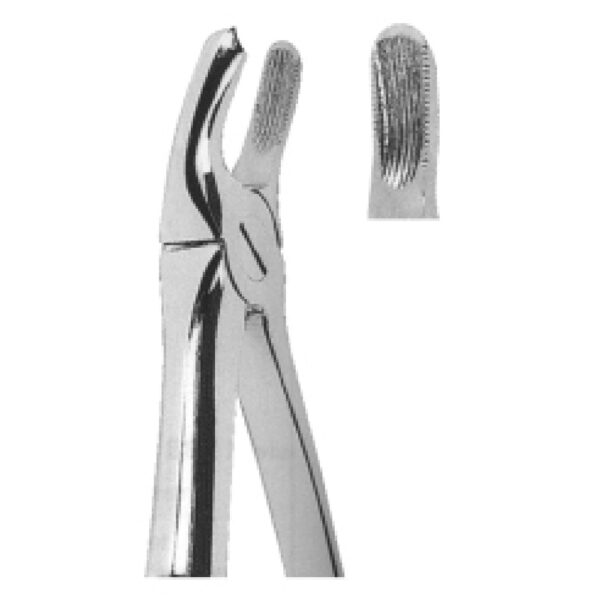 Premium Extracting Forceps (English Pattern) – High-Grade Stainless Steel for Precise Dental Extractions - Fig. 39 R (Upper Molars, Right)