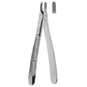 Premium Extracting Forceps (English Pattern) – High-Grade Stainless Steel for Precise Dental Extractions – Fig. 37 (Upper Incisors)