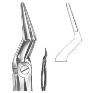Premium Extracting Forceps (English Pattern) – High-Grade Stainless Steel for Precise Dental Extractions – Fig. 51 L (Upper Roots)