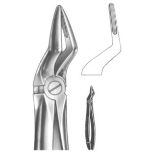Premium Extracting Forceps (English Pattern) – High-Grade Stainless Steel for Precise Dental Extractions – Fig. 51 A (Upper Roots)