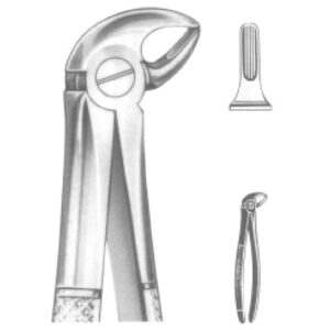 Premium Extracting Forceps (English Pattern) – High-Grade Stainless Steel for Precise Dental Extractions – Fig. 33 S (Lower Roots, for Children)