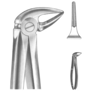Premium Extracting Forceps (English Pattern) – High-Grade Stainless Steel for Precise Dental Extractions – Fig. 33 L (Lower Roots)