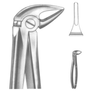 Premium Extracting Forceps (English Pattern) – High-Grade Stainless Steel for Precise Dental Extractions – Fig. 33 L (Lower Roots)