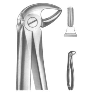Premium Extracting Forceps (English Pattern) – High-Grade Stainless Steel for Precise Dental Extractions – Fig. 33 B (Lower Roots)