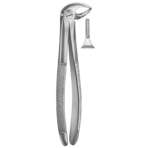 Premium Extracting Forceps (English Pattern) – High-Grade Stainless Steel for Precise Dental Extractions - Fig. 33 A (Lower Roots)