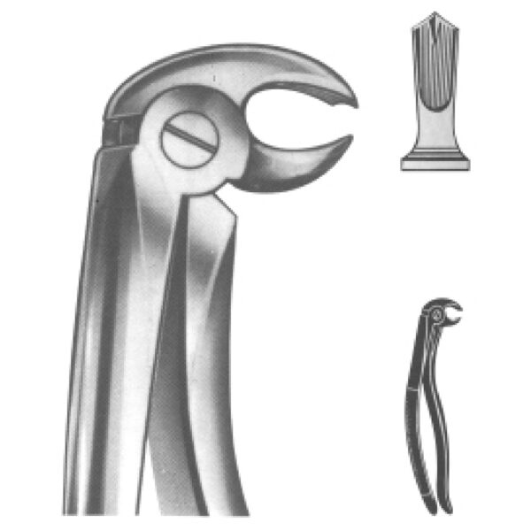 Premium Extracting Forceps (English Pattern) – High-Grade Stainless Steel for Precise Dental Extractions - Fig. 22 A (Albrecht - Lower Molars)