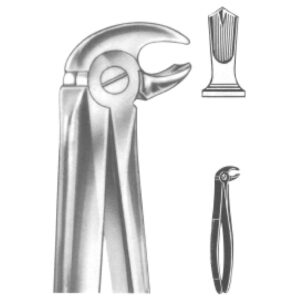 Premium Extracting Forceps (English Pattern) – High-Grade Stainless Steel for Precise Dental Extractions – Fig. 22 (Lower Molars)