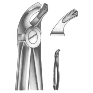 Premium Extracting Forceps (English Pattern) – High-Grade Stainless Steel for Precise Dental Extractions – Fig. 21 (Lower Molars)