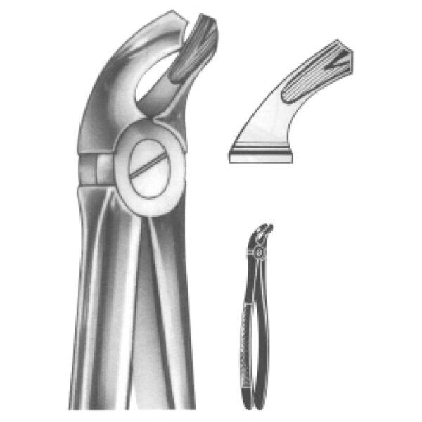 Premium Extracting Forceps (English Pattern) – High-Grade Stainless Steel for Precise Dental Extractions - Fig. 21 (Lower Molars)