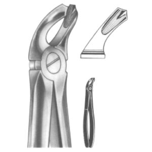 Premium Extracting Forceps (English Pattern) – High-Grade Stainless Steel for Precise Dental Extractions – Fig. 20 (Lower Wisdoms)