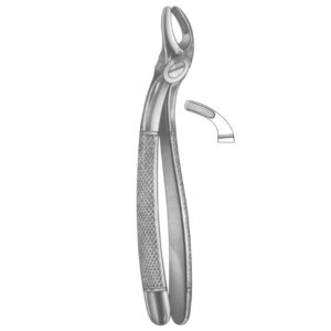 Premium Extracting Forceps (English Pattern) – High-Grade Stainless Steel for Precise Dental Extractions – Fig. 19 (Upper Wisdoms)