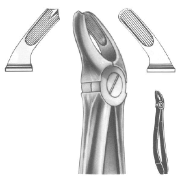 Premium Extracting Forceps (English Pattern) – High-Grade Stainless Steel for Precise Dental Extractions - Fig. 18 (Upper Molars, Left)