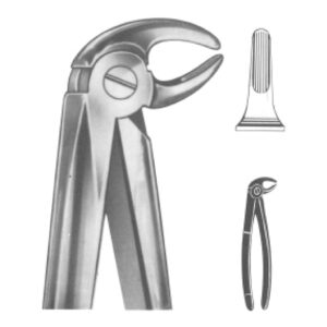 Premium Extracting Forceps (English Pattern) – High-Grade Stainless Steel for Precise Dental Extractions – Fig. 13 (Lower Premolars)