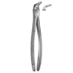 Premium Extracting Forceps (English Pattern) – High-Grade Stainless Steel for Precise Dental Extractions – Fig. 8 (Lower Premolars)