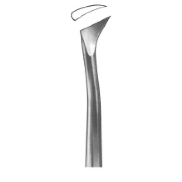 Root Elevator | Precision Dental Elevator for Atraumatic Root Loosening and Tooth Extraction Assistance - Winter Fig. 12L