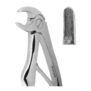 Extracting Forceps for Children – Klein Pattern | Pediatric Dental Forceps with Enhanced Grip & Precision – Fig. 5 (Lower Incisors)