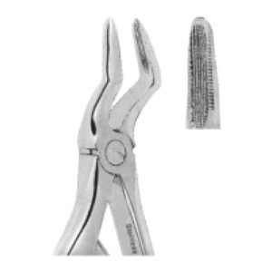 Extracting Forceps for Children – Klein Pattern | Pediatric Dental Forceps with Enhanced Grip & Precision – Fig. 4 (Lower Roots)