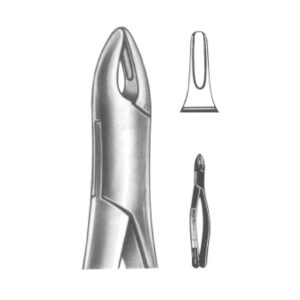 Extracting Forceps – American Pattern | Durable Dental Forceps with Serrated Handles for Superior Grip & Precision – Fig. 1B (Upper Roots, Anterior)