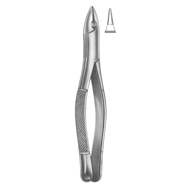 Extracting Forceps – American Pattern | Durable Dental Forceps with Serrated Handles for Superior Grip & Precision - Fig. 1 (Upper Incisors & Bicuspids)