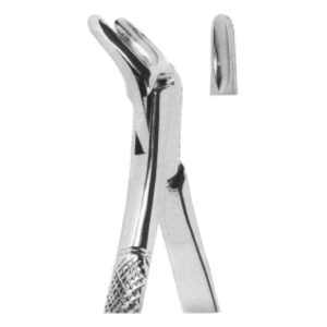 Extracting Forceps – American Pattern | Durable Dental Forceps with Serrated Handles for Superior Grip & Precision – Fig. 151S (Lower Teeth for Children)