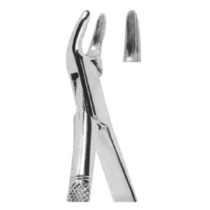 Extracting Forceps – American Pattern | Durable Dental Forceps with Serrated Handles for Superior Grip & Precision – Fig. 150S (Upper Teeth for Children)