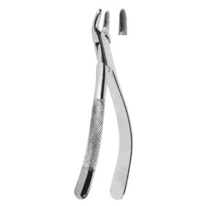 Extracting Forceps – American Pattern | Durable Dental Forceps with Serrated Handles for Superior Grip & Precision – Fig. 150 (Upper Incisors, Premolars, Roots)