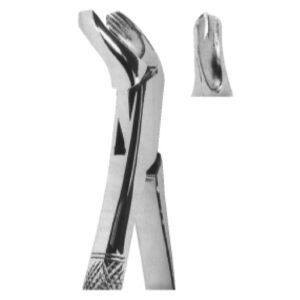 Extracting Forceps – American Pattern | Durable Dental Forceps with Serrated Handles for Superior Grip & Precision – Fig. 17 (Lower Molars)