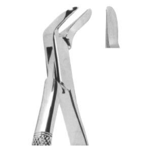 Extracting Forceps – American Pattern | Durable Dental Forceps with Serrated Handles for Superior Grip & Precision – Fig. 6 (Separating Forceps)