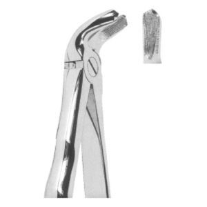 Extracting Forceps with Anatomically Shaped Handle | Ergonomic Dental Forceps for Precision & Comfort – Fig. 21 (Lower Molars)