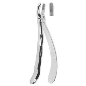 Extracting Forceps with Anatomically Shaped Handle | Ergonomic Dental Forceps for Precision & Comfort – Fig. 17 (Upper Molars, Right)