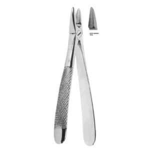 Extracting Forceps – Mead Pattern | Heavy-Duty Stainless Steel Forceps for Precise Dental Extractions – Fig. 1 (Upper Incisors & Canines)