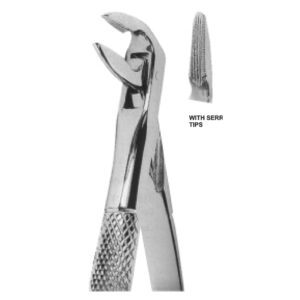 Premium Extracting Forceps (English Pattern) – High-Grade Stainless Steel for Precise Dental Extractions – Fig. 359 (Lower Roots)